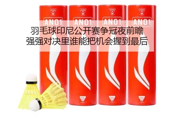 羽毛球印尼公开赛争冠夜前瞻 强强对决里谁能把机会握到最后 - leyu